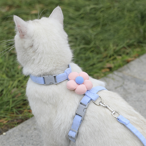 Cat Harness & Leash Set – Soft Corduroy Chest Strap with Flower Decoration