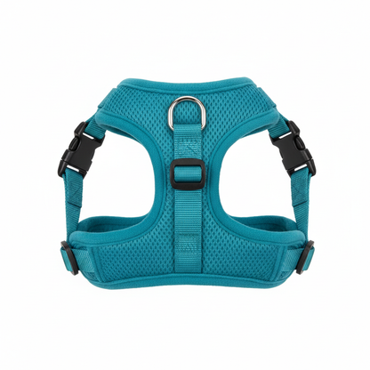 Harness Teal Blue