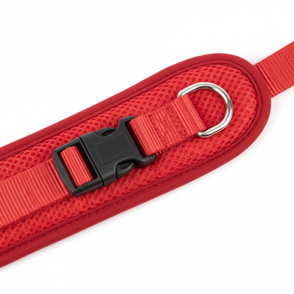 Close-up detail of red harness showing mesh fabric, buckle and D-ring hardware