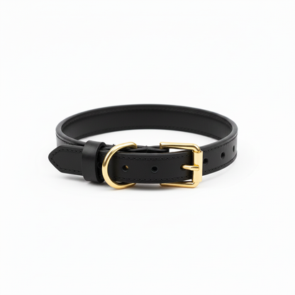 Variant 3 – Black leather dog collar with gold hardware