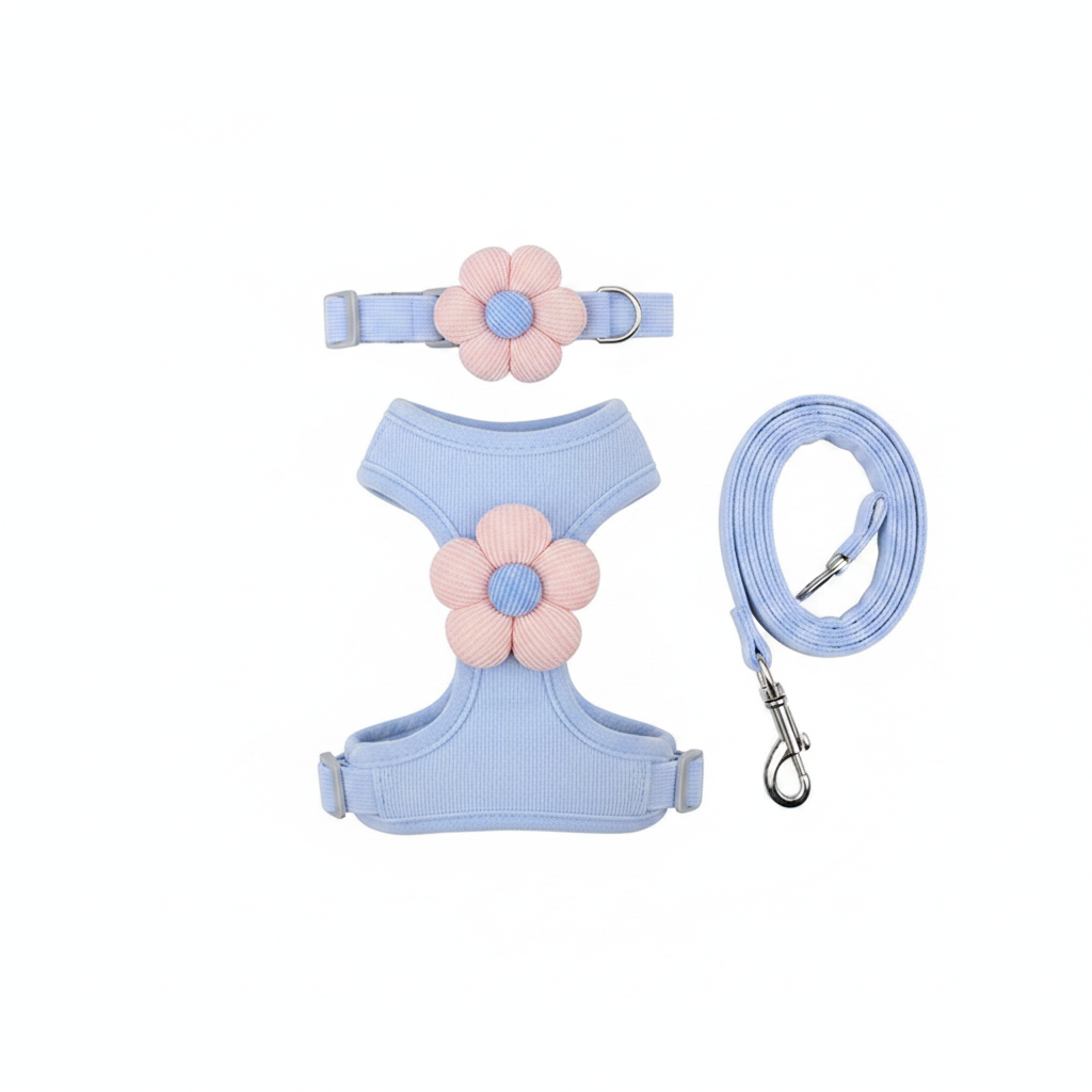 Flat lay of complete cat harness set including collar, harness and leash in light blue