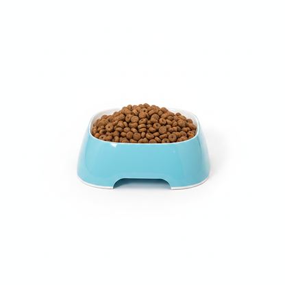 Sky Blue Bowl