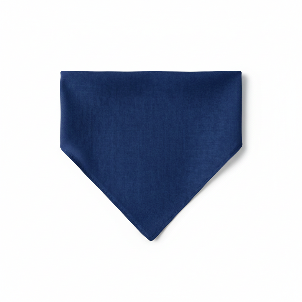 Variant 2 Navy Blue